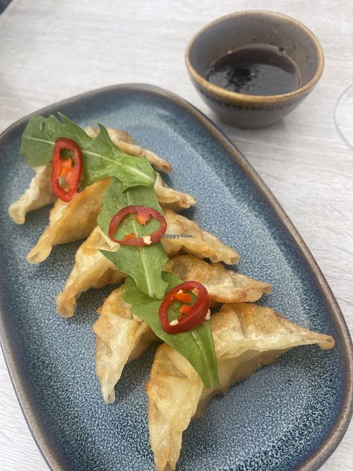 Veg gyoza   at MOONLIGHT in Brighton