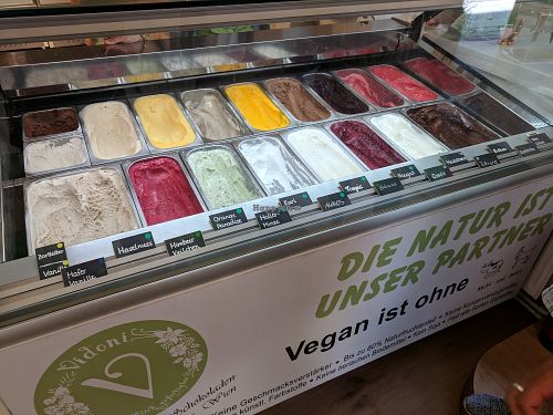 vegan ice cream case, 19 flavors! at The Green Garden in Salzburg