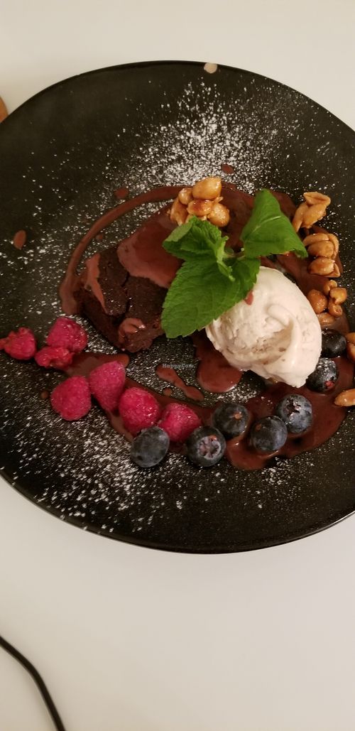 Brownie at The Green Garden in Salzburg