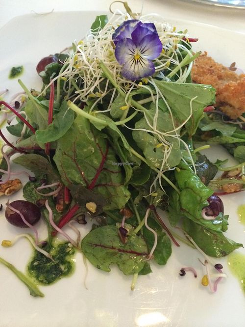 One of the most gorgeous salads I've ever eaten! at The Green Garden in Salzburg
