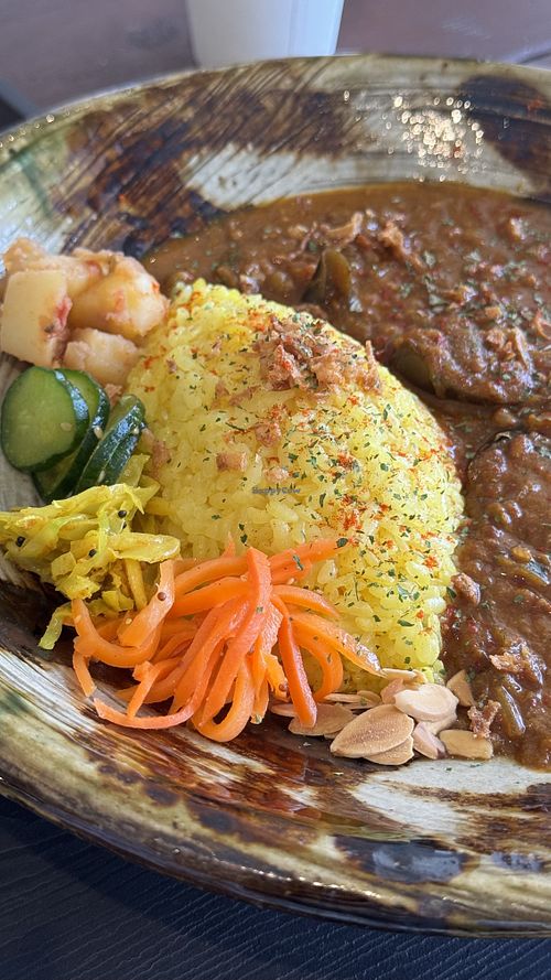 Vegan coconut curry  at Curry Parlor Sousui in Kunigami