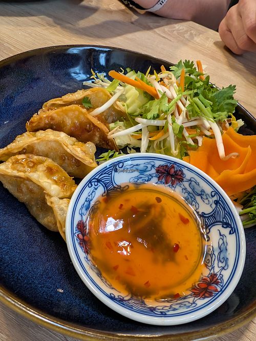 Vegetable Gyoza at Gao Restaurant in Pisek