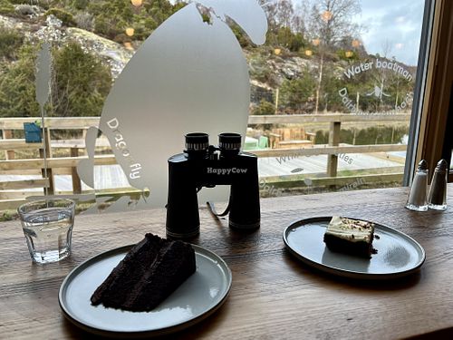 Cake and bird watching   at Dundreggan Rewilding Centre in Inverness