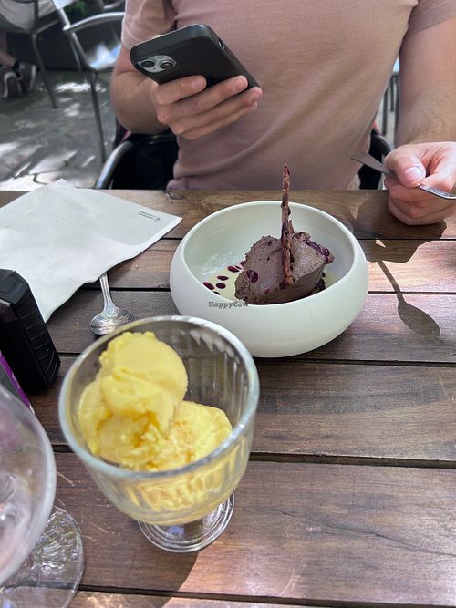 Sorbet exotique (sans lait) at Les Olivades  in Collobrieres