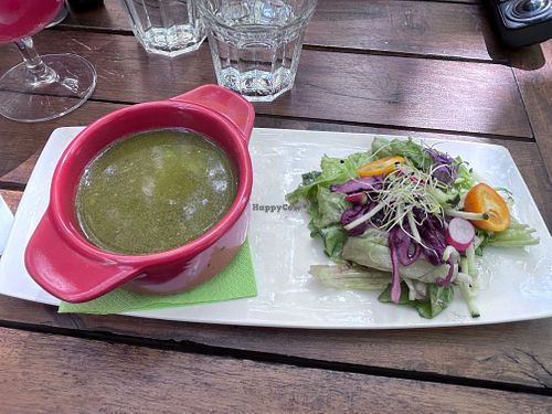 Soupe de légumes (sans crème ni lait), salade (laitue, chou, radis, kumquat, concombre et fleur) at Les Olivades  in Collobrieres