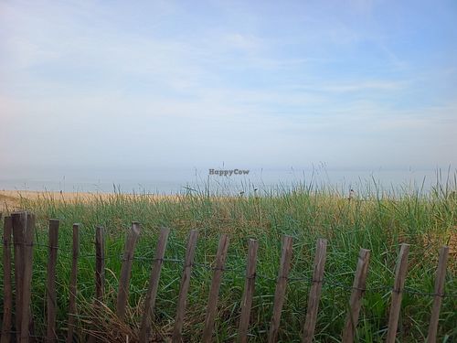  at North in Sunderland