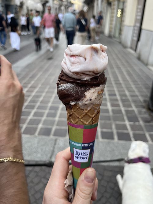 Buonissima gelateria, tantissime offerte vegane e non solo frutta   at Gelateria La Romana in Monza