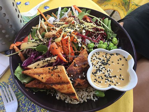 Japanese salad at Blossom Vegetarian Cafe in Ottawa
