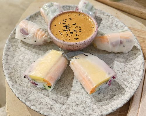  at Moon Shell (hayy jameel) in Jeddah