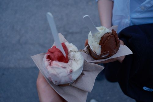 vegan sorbet  at Amorino in Chamonix-mont-blanc