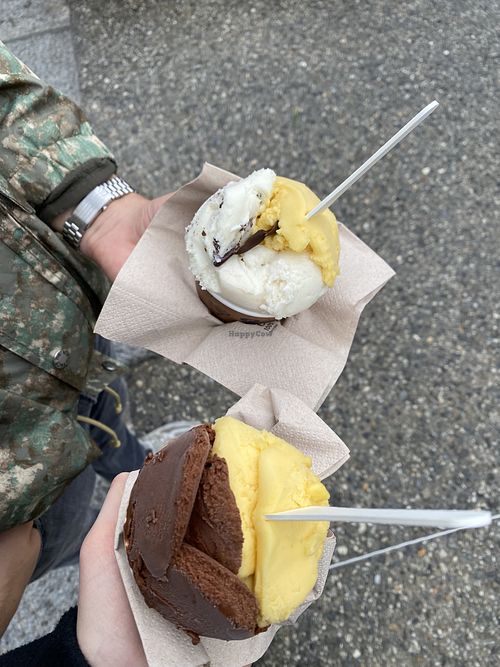 vegan sorbet  at Amorino in Chamonix-mont-blanc