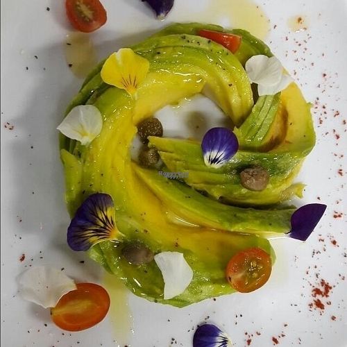 Avocado delight.  One of the Chef's special plates of the day. at Dodo Bon Pan Cafe in Panama City