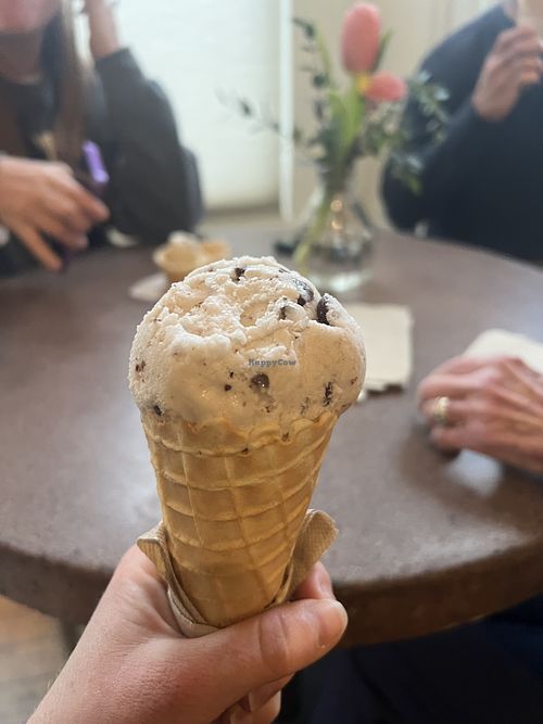 Vegan mint chocolate chip  at Arcata Scoop in Arcata