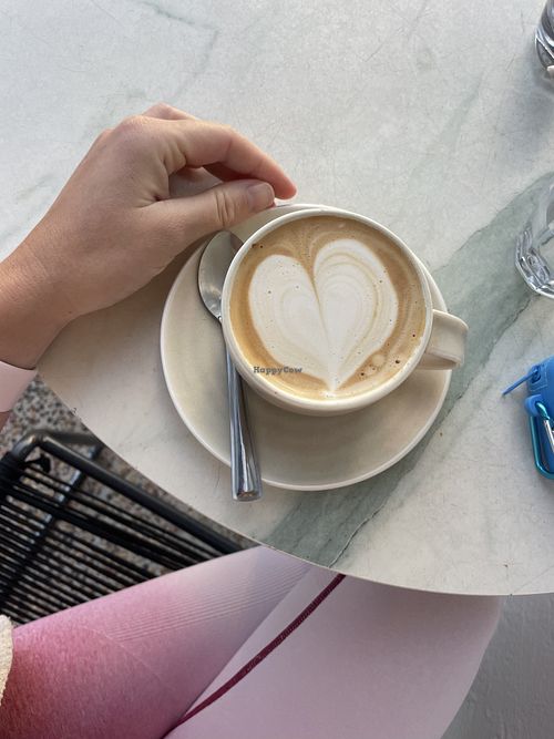 Small oat Flat - you pay for the view   at Pasture of Balmoral in Mosman