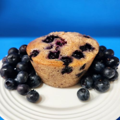 Blueberry Muffin at Surfer Boy Bake Shop in Fort Lauderdale