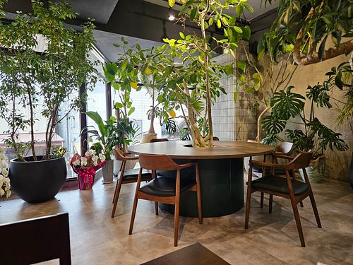  at GreenOcean Cafe in Uji