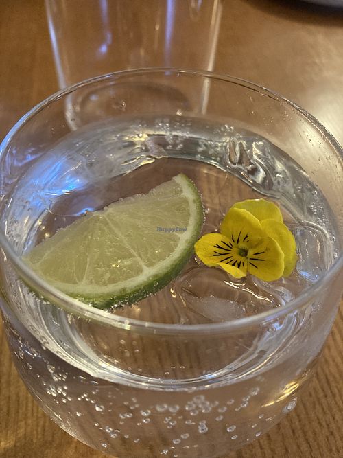 Strontian G&T  at Boathouse Resturant in Fort William