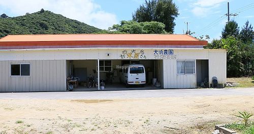  at Ohama Farm in Taketomi