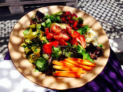 Vegan, gluten free salad at House of Wonders in Cascais