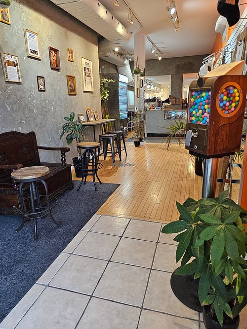 Interior at Bbagels  in Montreal