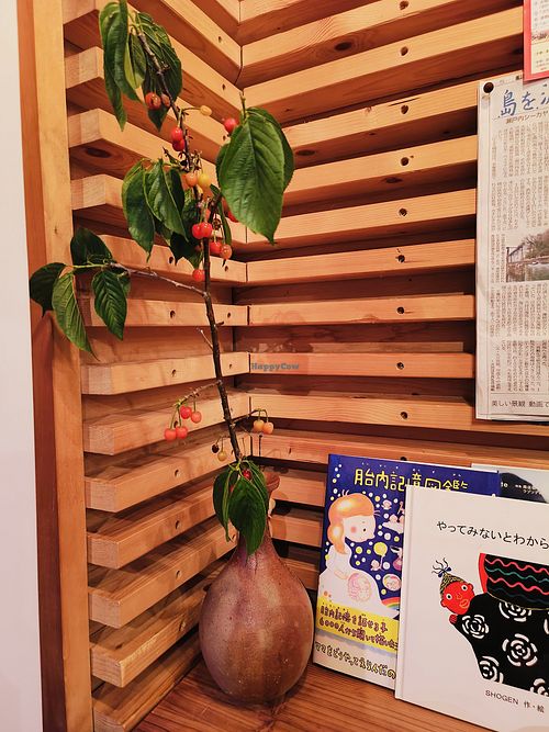  at D'otto Café in Okayama