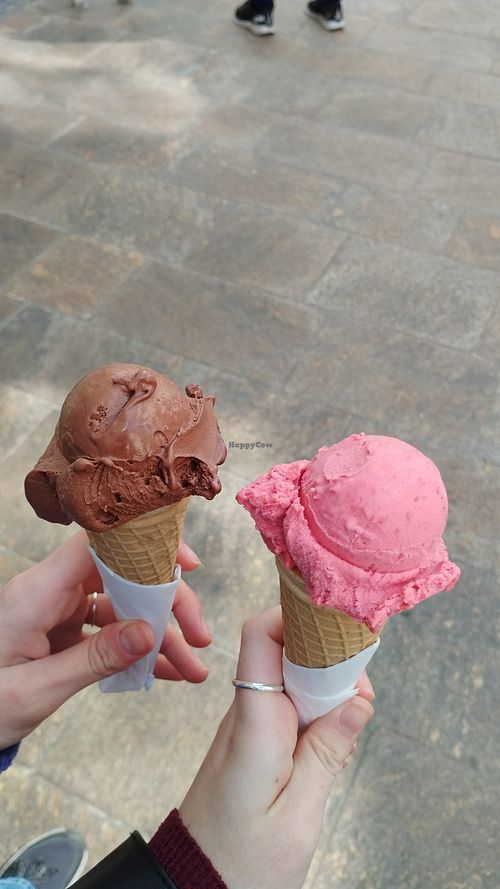 Chocolate and raspberry (vegan) at Il Gelato Di Gianola in Graz