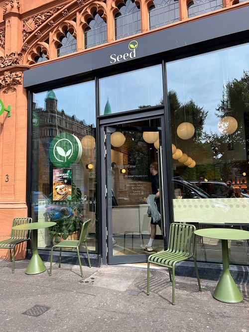 at Seed in Belfast