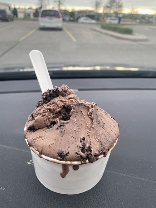 Large gelato ice cream 1 flavour but you can get up to 3 if you want  at Nani's Gelato in Burlington