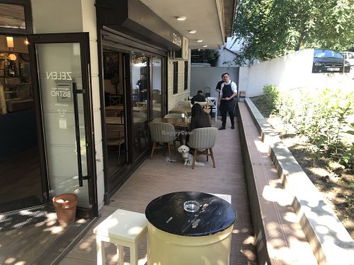   at Zelen in Belgrade