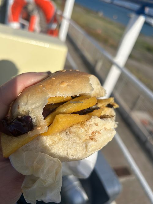 Perfect take-away on the ferry ⛴️ at Cameusa Milazzo Rosticceria Palermitana in Milazzo