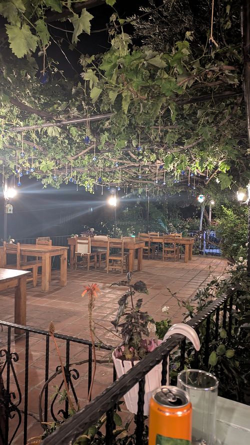 Terrace with evil eye pendants hanging from the ancient vine. at Nihan's Kitchen in Oludeniz