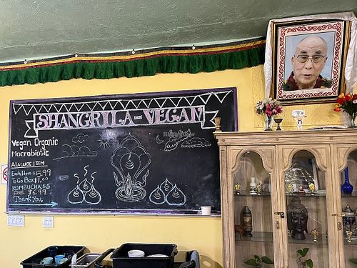 Interior at Shangri-La Vegan - Linden in Oakland