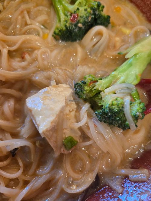  at Raku Ramen & Rolls in Santa Rosa