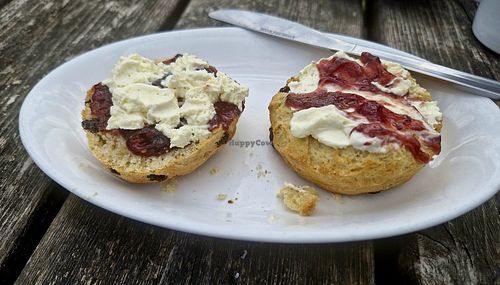 Cream scones at National Trust Lydford Gorge Tea Rooms in Okehampton