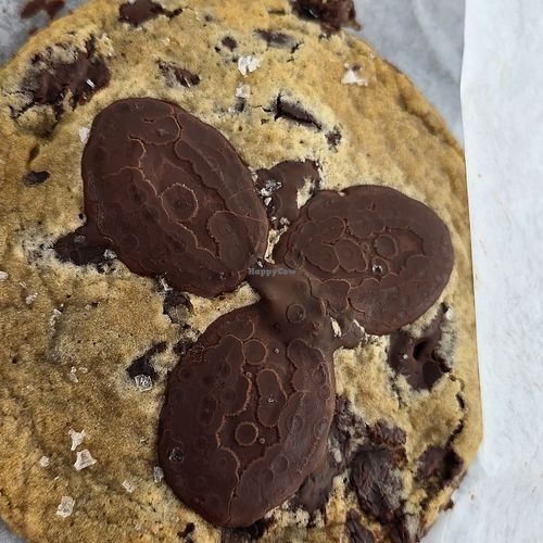 Vegan chocolate chip cookie at Universal Studios - Frosty Moon in Orlando