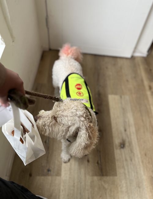 Sniff test of course😌  at Tamari Ya Rice Donut - 田万里家 in Hiroshima