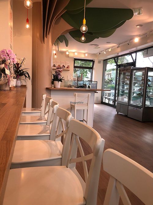  at Gelateria Amorcrema in Forli