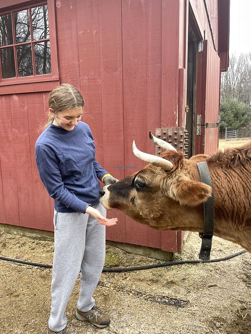 Volunteer Saturdays!  at Sunny Meadow Sanctuary in Barre