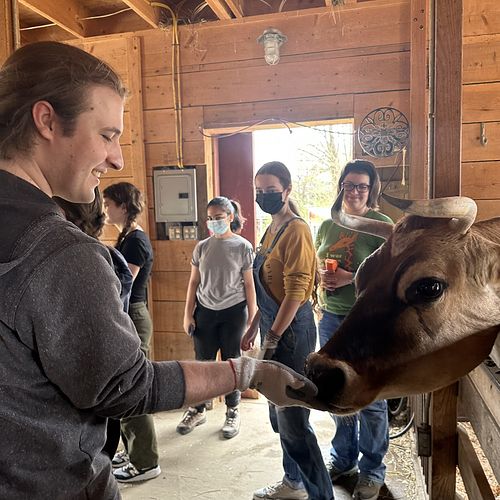 Photos from one of our volunteer Saturdays! To get added to the email list & join, visit the volunteer page on our website!  at Sunny Meadow Sanctuary in Barre