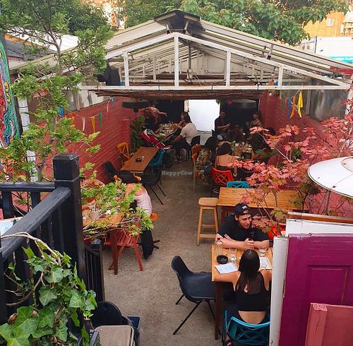 Our garden at Viva Dalston in North London