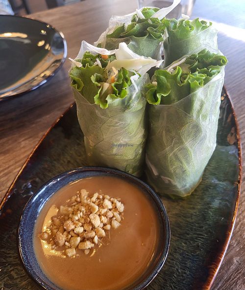Spring rolls with peanut sauce at Sip Saam Thai of San Antonio in San Antonio