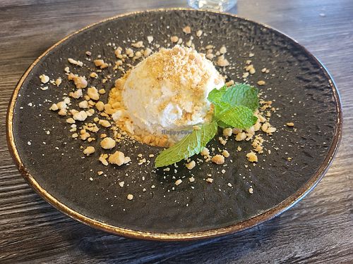 Coconut ice cream at Sip Saam Thai of San Antonio in San Antonio