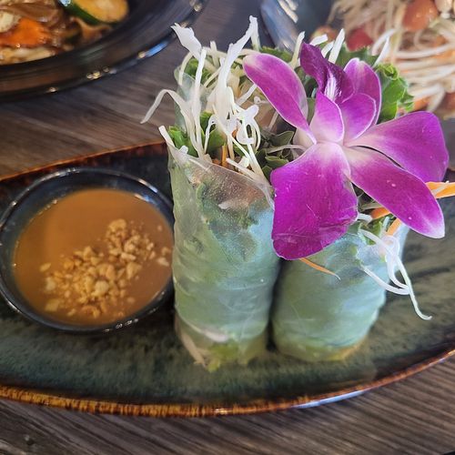 Spring rolls with tofu and peanut sauce at Sip Saam Thai of San Antonio in San Antonio