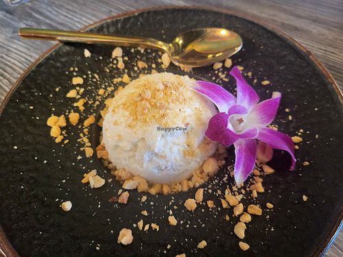 Coconut Ice Cream at Sip Saam Thai of San Antonio in San Antonio