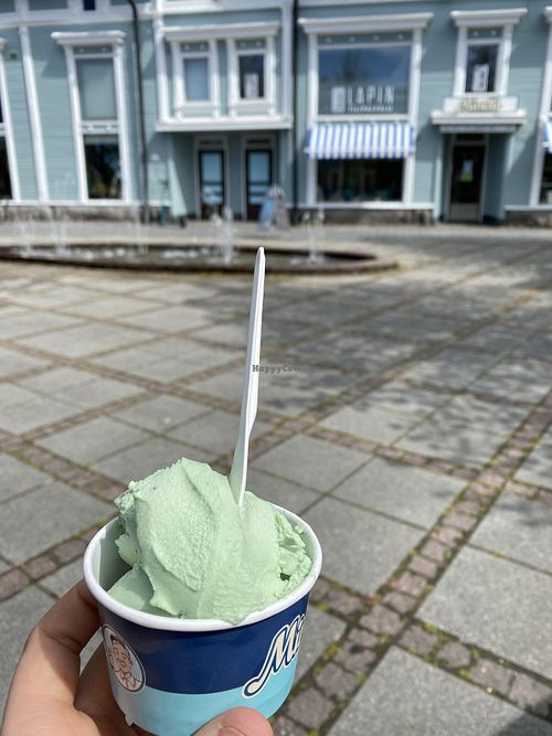 Kiwi ice cream  at Wanhan Rauman Jäätelökauppa in Rauma
