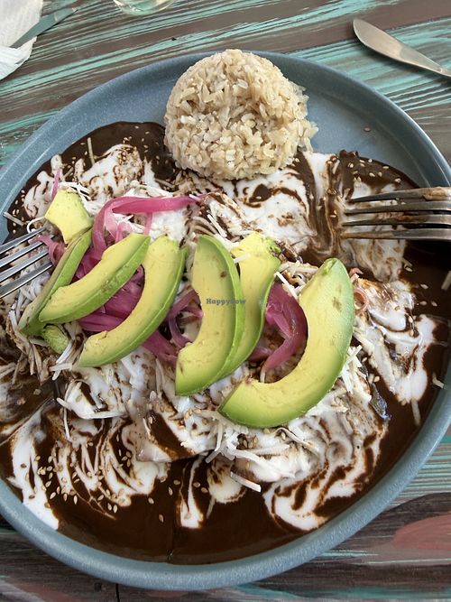 Enmoladas with best mole we’ve ever had!  at VeganBarrio in Cozumel
