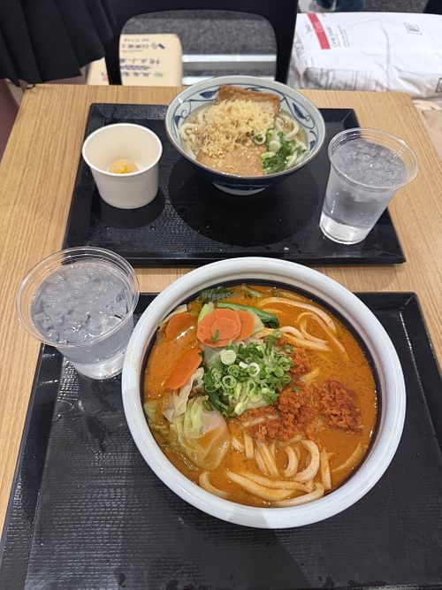 Large tan tan (double noodles)  at Marugame Udon in San Diego