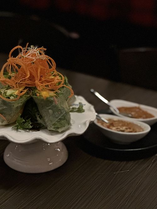Spring rolls   at Mango Thai in Rochester