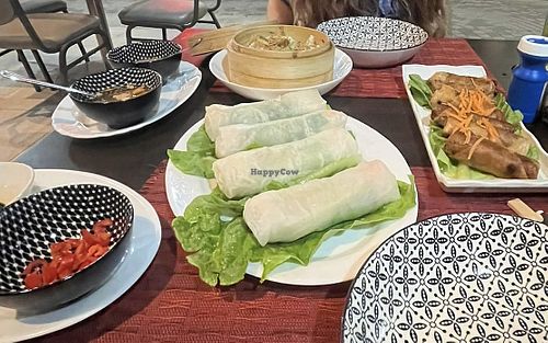 Summerolls, springrolls, dumplings  at Sai Gon Vietnamese Food in Paphos
