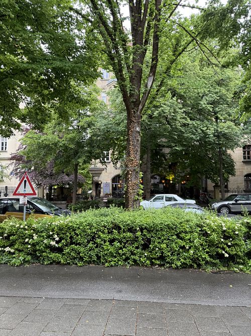 Outside  at Café am Beethovenplatz in Munich
